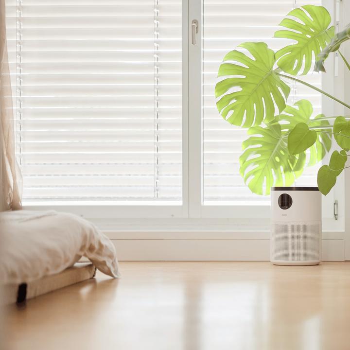 Immagine prodotto ecofort ecoQ CleanAir 300+ (50 m²)