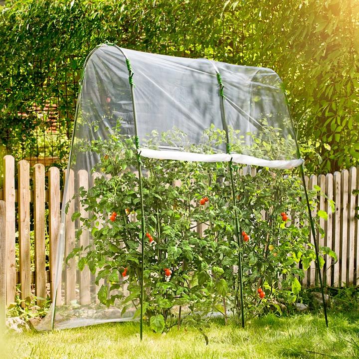 Actual product image Windhager Tomatoes foil tunnel set