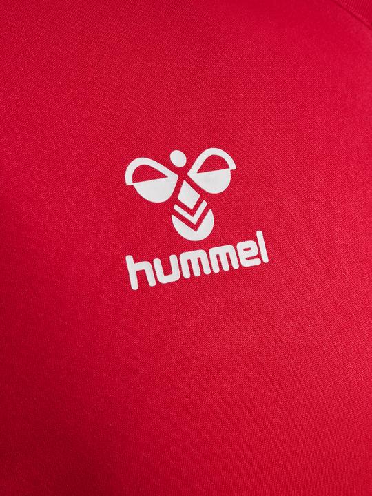 Image du produit hummel Hmlauthentic Pl Jersey S/S (L)