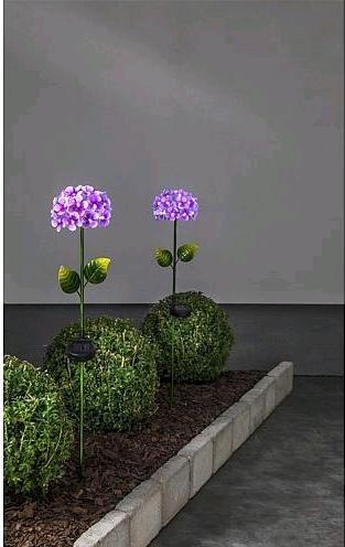 Image du produit Star Trading Hortensia (IP44)