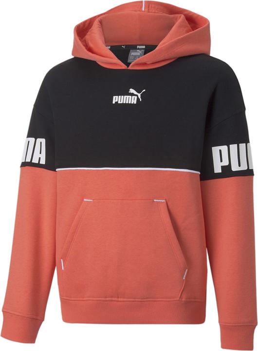Puma Power Colorblock Hoodie