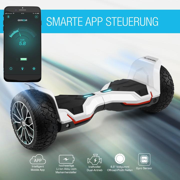 Actual product image Bluewheel HX510 (16 km/h, 700 W)