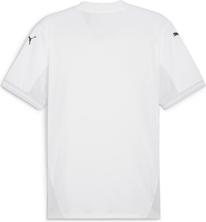 Actual product image Puma teamFINAL Jersey (S)