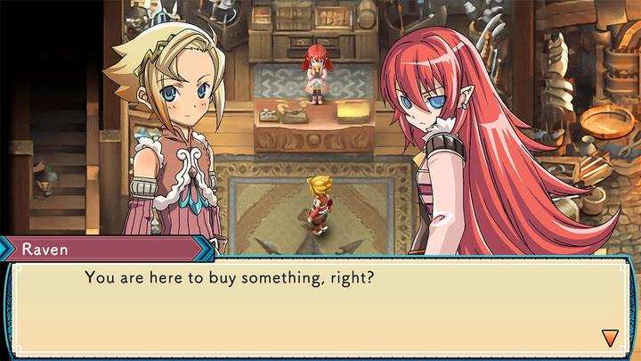 Image du produit Marvelous Rune Factory 3 Spécial (édition limitée) (Switch, Switch Lite, Switch OLED)