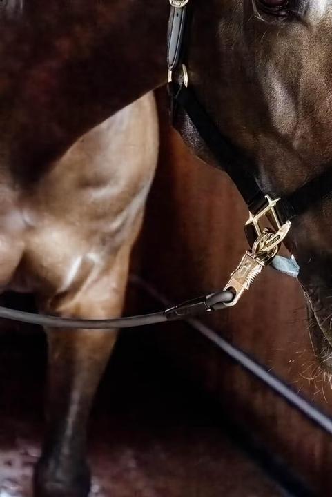 Kentucky Horsewear Lederreitgerte