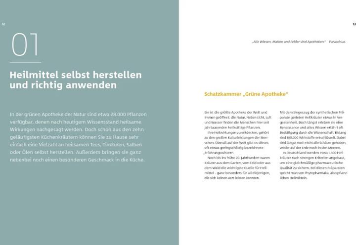 Immagine prodotto 10 Kräuter gegen 100 Krankheiten (Tedesco, Franciska Rubino, Gudrun Strigin, 2021)