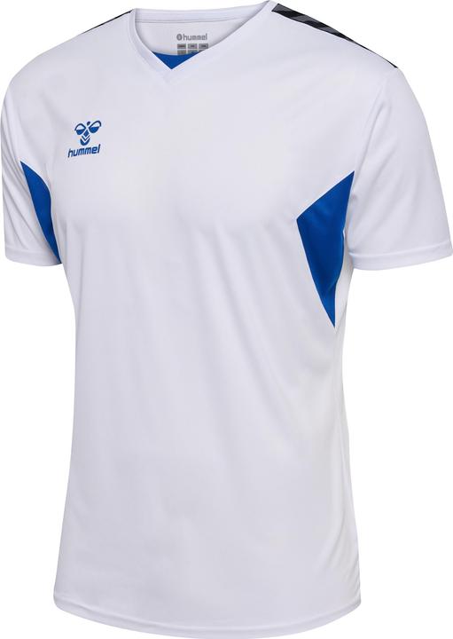 whitetrueblue