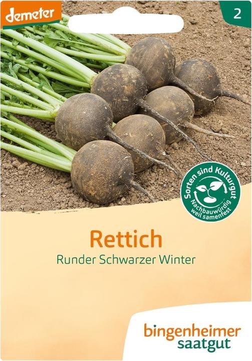 Produktbild Bingenheimer Saatgut Rettich Runder Schwarzer W. (Keimlinge)
