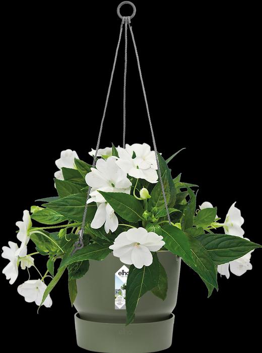 Image du produit Elho Lampe suspendue de Greenville (24 cm)