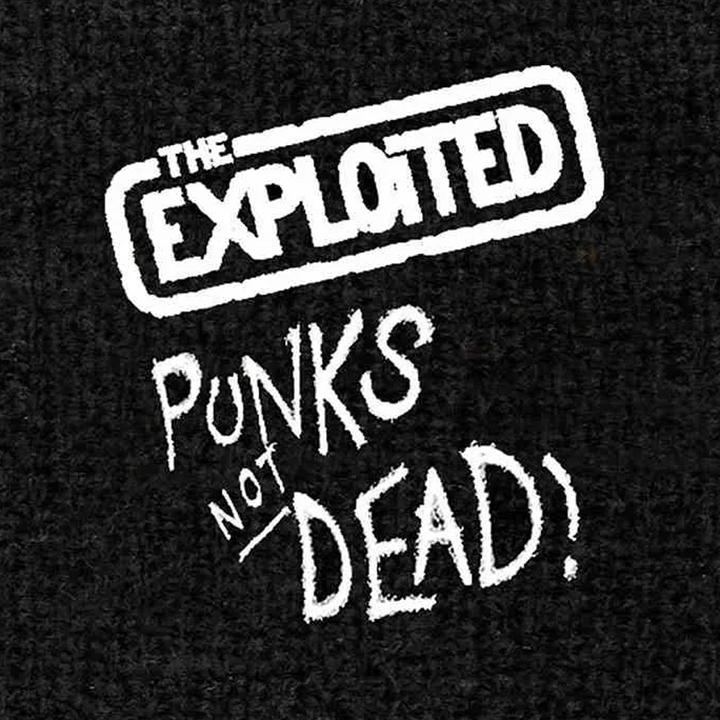 Produktbild Universal Textiles Punks Not Dead Armband bestickt (One Size)