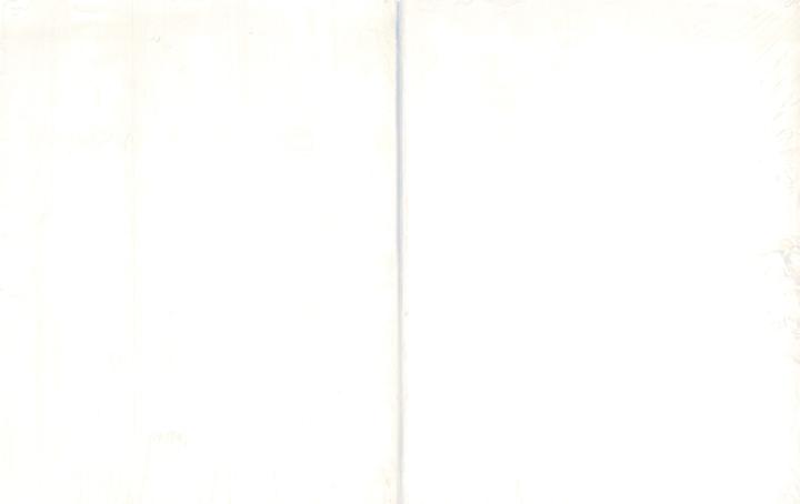 Image du produit Reina savon glycérine transparent sans parfum (Savon dur, 907.50 ml)