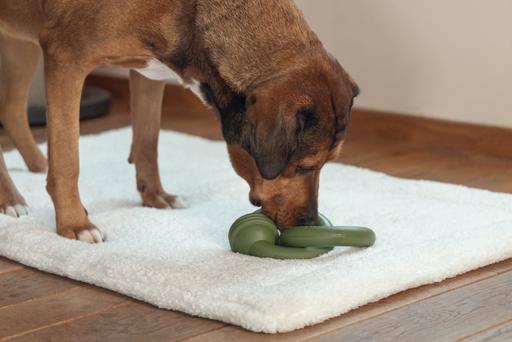 Actual product image Beeztees Sumo Team (Dog chew toy)