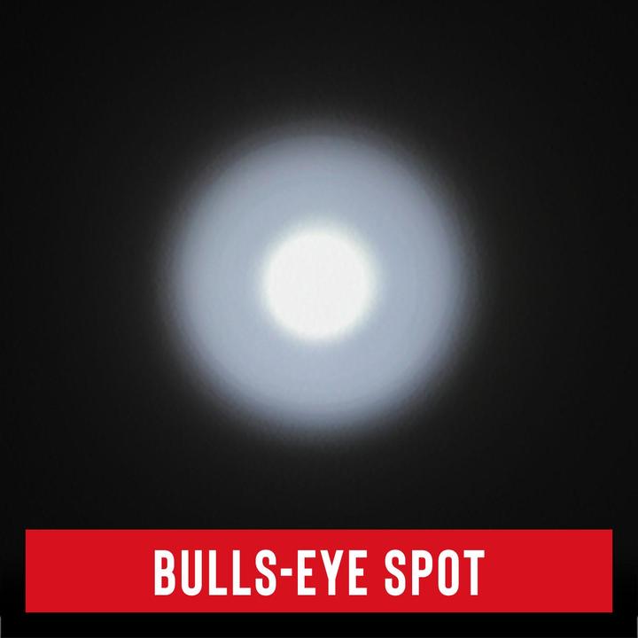 Actual product image Coast PS200 POLYSTEEL torch with focus 435 lumens (12.70 cm, 390 lm)