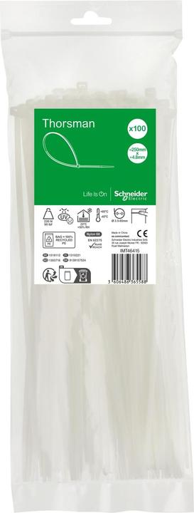 Produktbild APC Kabelbinder 250X4,8 VE 100 Farbe klar (250 mm, 100 Stk.)