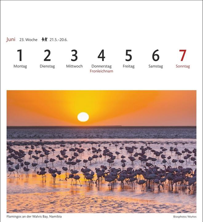 Produktbild Harenberg Südafrika & Namibia Sehnsuchtskalender 2026 - Wochenkalender mit 53 Postkarten (Harter Einband, Deutsch)