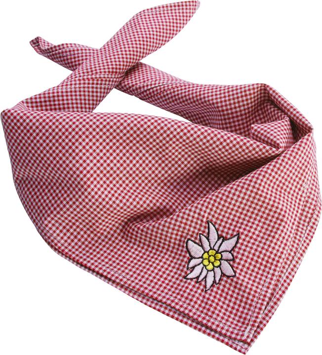 Produktbild Dressforfun Trachtentuch Edelweiss