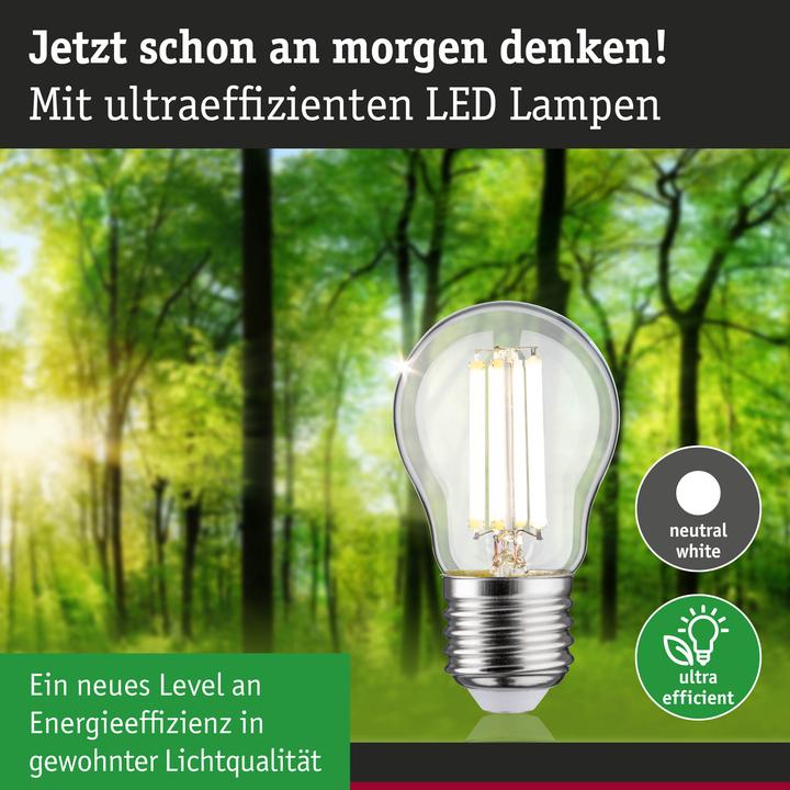 Actual product image Paulmann Tropfen Eco-Line (E27, 4 W, 840 lm, 1 x, A)