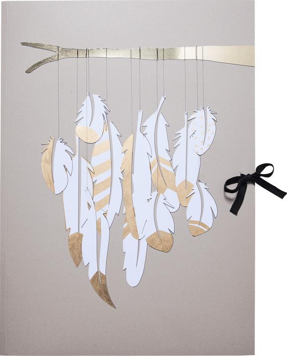 Produktbild Folia Sammelmappe mit Band (50 x 70 cm, 1 x)