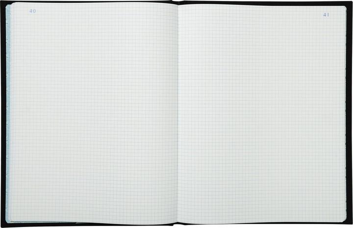 Produktbild Exacompta Geschäftsbücher (320 x 250 mm, Kariert)