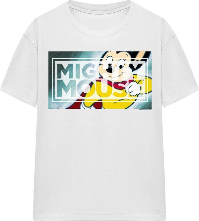 Fruit of the Loom Mighty TShirt (L)