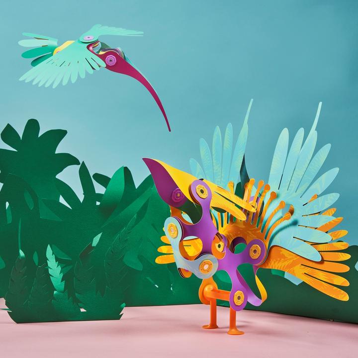 Actual product image Clixo Tropical Birds