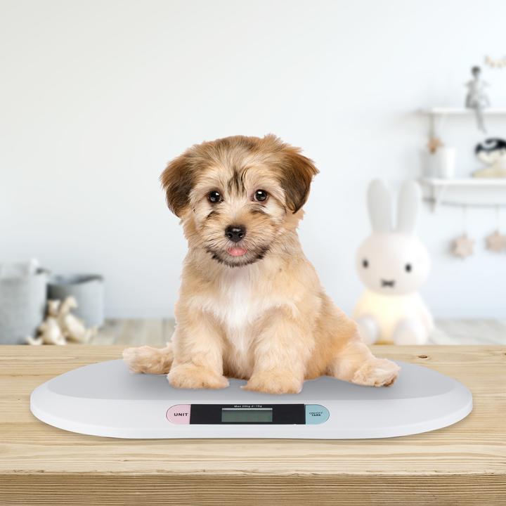 Immagine prodotto Little Choice Bilancia digitale (20 kg)