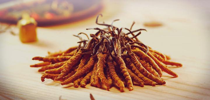 Image du produit Zimmerli Adaptogene Poudre de Cordyceps (BIO) (1 pièce(s), Poudre, 100 g)