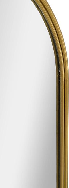 Produktbild Mauro Ferretti Wandspiegel mit Haken.5 (40 x 79.5 cm)