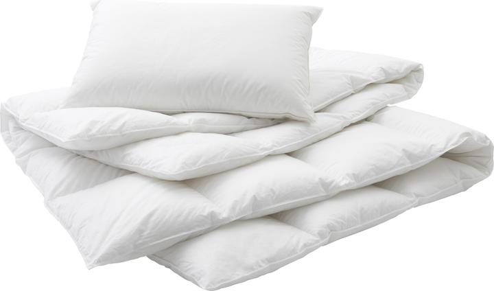 Actual product image Billerbeck Lucerne 100 (1000 g, 240 x 240 cm)