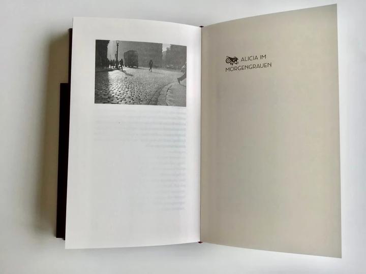 Immagine prodotto Il cimitero dei libri dimenticati (Tedesco, Carlos Ruiz Zafón, 2021)