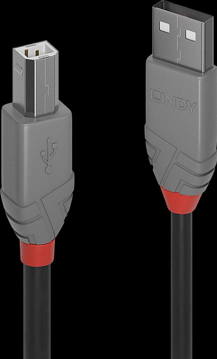 Image du produit Lindy Anthra Line (0.20 m, USB 2.0)