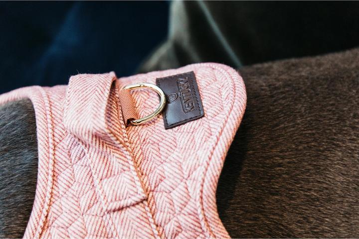 Produktbild Kentucky Dogwear Hundegeschirr Body Safe (XS, Hund, Allgemein)