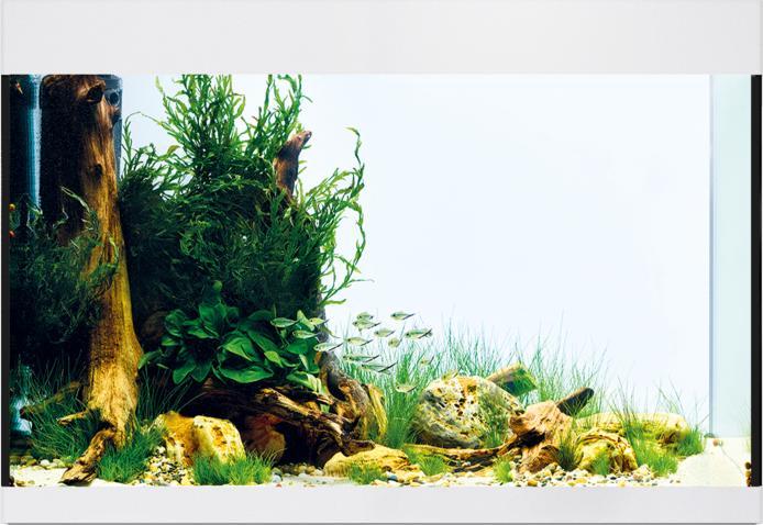 Actual product image Oase Aquarium StyleLine 175, 160 l, White (160 l)