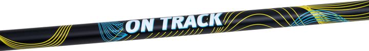 Actual product image Sport-Thieme Nordic Walking Poles On Track (100 cm)