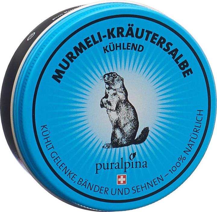 Actual product image Puralpina Murmeli Herbal Ointment (1 x, 100 ml, 110 g)