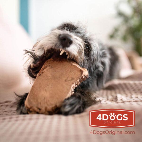 Produktbild 4Dogs Original 4DOGS - Kauwurzel aus Heide - M (Senior, 1 Stk., 300 g)