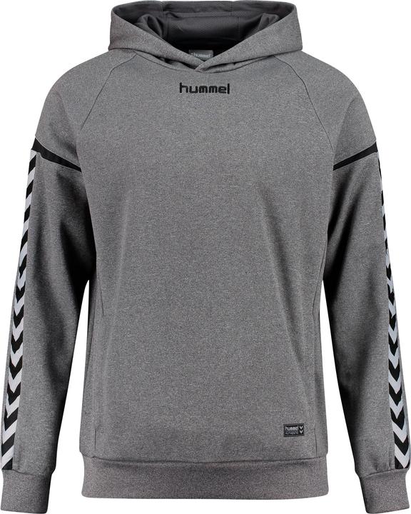 hummel Authentic Charge Poly Hoodie (116)