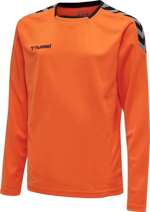 Produktbild hummel Authentic Kids Poly Jersey L/S (176)
