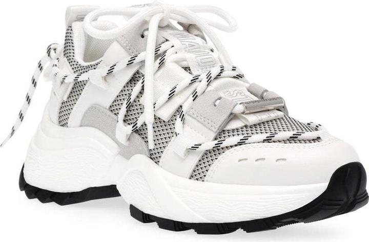 Image du produit Steve Madden baskets tazmania (39)