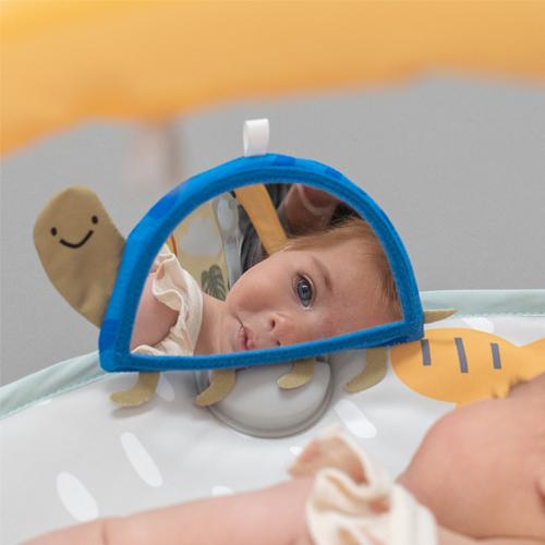 Actual product image Taf Toys Savannah