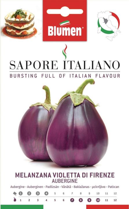 Produktbild Blumen Aubergine Violetta di Firenze (Gemüsesamen)