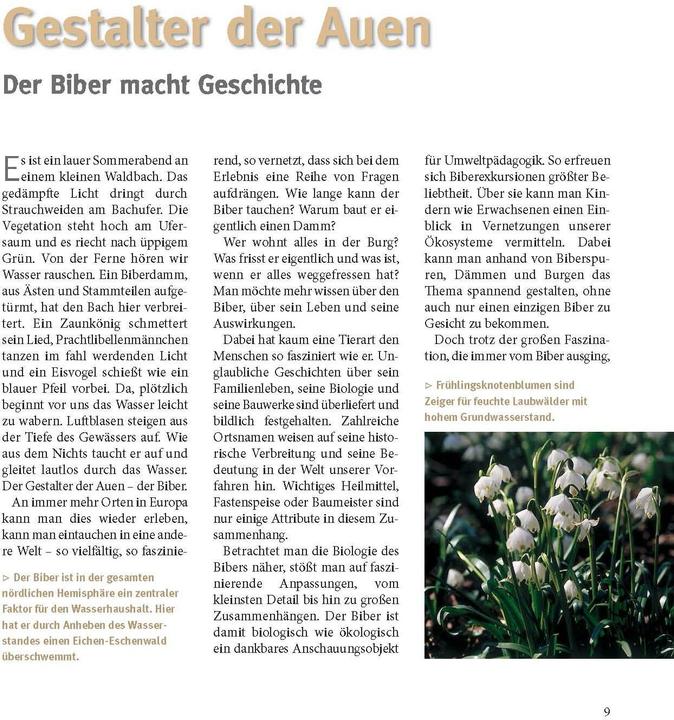 Produktbild Der Biber (Deutsch, Volker Zahner, Gerhard Schwab, Christof Angst, Markus Schmidbauer, 2021)