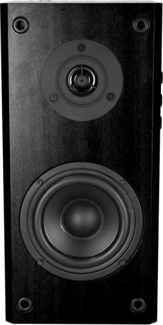 Actual product image Media-Tech AUDIENCE HQ MT3143K