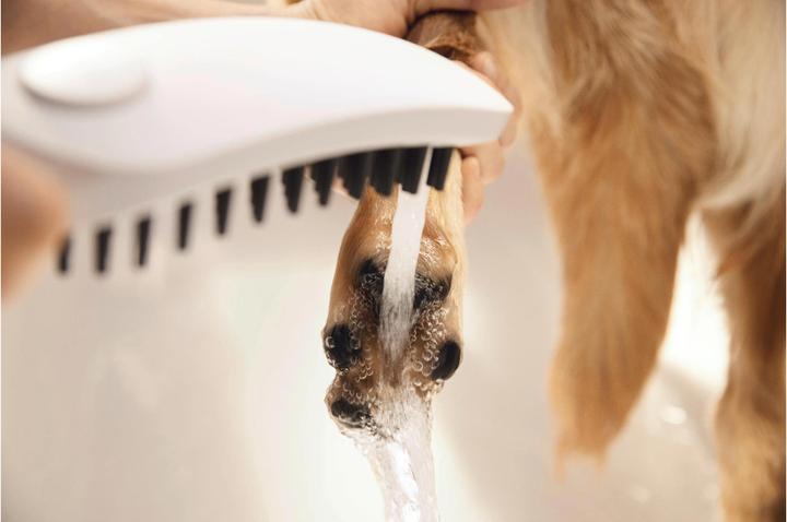 Immagine prodotto hansgrohe DogShower doccia per cani 150 3 tipi di getto Seleziona (3 Tipi di raggi, 7.60 l/min)