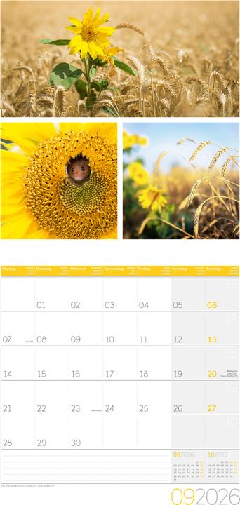 Produktbild Colours of Nature Kalender 2026 - 30x30 (30 x 30 cm, Harter Einband, Deutsch, Französisch, Englisch)