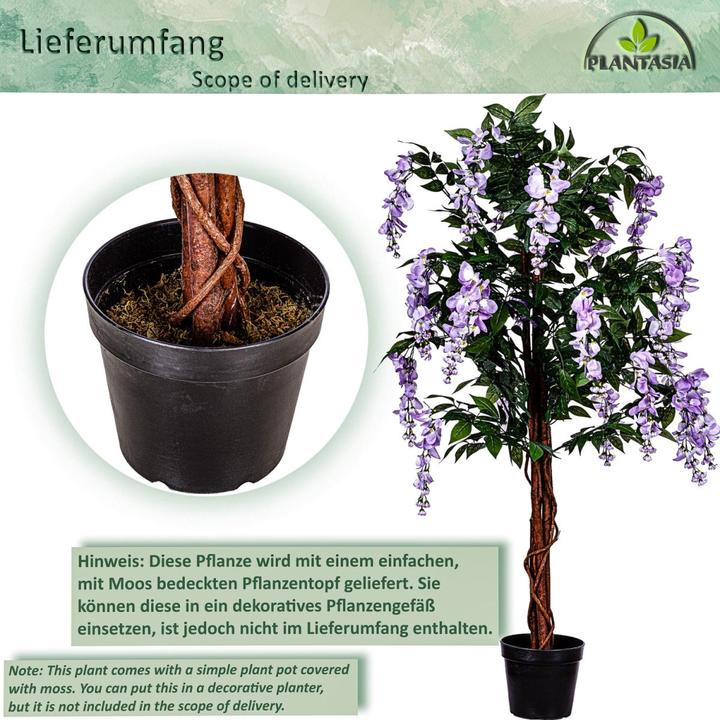 Image du produit Plantasia Wisteria Baum (120 cm)