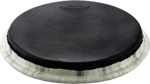 Image du produit Remo Peau de bongo (bongos)
