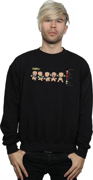 Produktbild Looney Tunes Porky Pig Colour Code Sweatshirt (4XL)