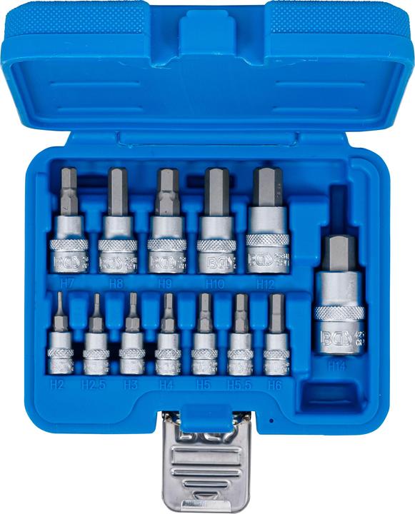 Actual product image BGS Bit insert set (2 mm, 2.5 mm, 3 mm, 4 mm, 5 mm, 5.5 mm, 6 mm, 7 mm, 8 mm, 9 mm, 10 mm (hexagon socket), 12.0 mm, 10mm)