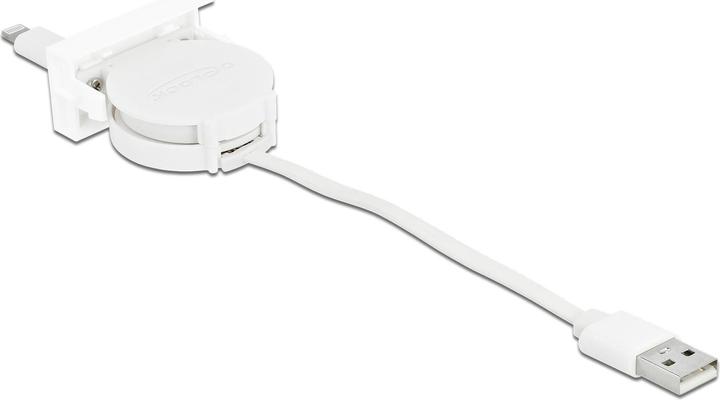 Delock USB A - USB A (0.50 m, USB 2.0)